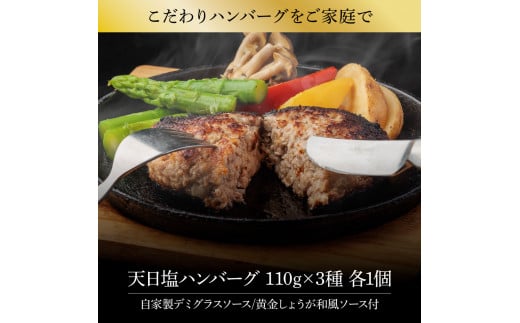 ＜高騰に伴い2025年1月1日以降、寄附額改定予定＞食べ比べ！天日塩ハンバーグ3種セット各1個(110g×3種) 合計3個 ハンバーグ 黒毛和牛  美鮮豚 天然塩 天日塩 デミグラスソース 和風ソース ソース付き 牛肉 豚肉 温めるだけ 冷凍 配送 国産