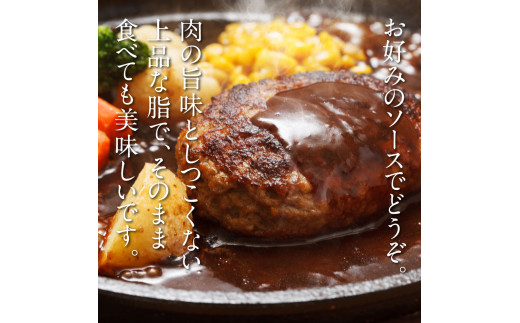 創業50年老舗レストランの幻の和牛あかうしハンバーグ130g×20コ（ソース無し）人気惣菜 数量限定 牛肉 豚肉 故郷納税 焼くだけ 溢れる肉汁 土佐あか牛 ハンバーグ 小分け 緊急支援品