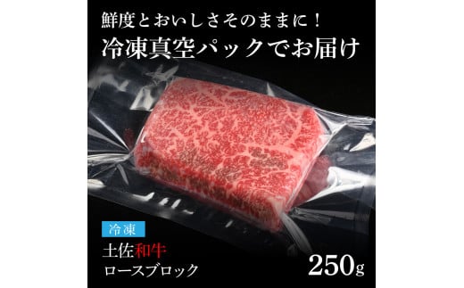 天下味 エイジング工法 熟成肉 土佐和牛 特選 ロースブロック 250g エイジングビーフ 国産 牛肉 土佐 和牛 冷凍配送 真空パック お祝い 高知 芸西村 贈り物 贈答 ギフト