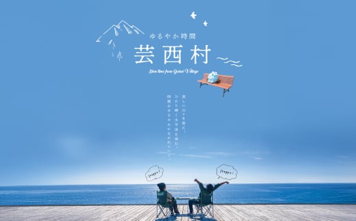 訳あり釜揚げシラス300g 高知県産 釜揚げしらす 簡易梱包 わけあり 不揃い シラス 国産 釜揚げ 新鮮 しらす丼 海鮮丼 お茶漬け 冷凍配送 塩分控えめ お取り寄せ