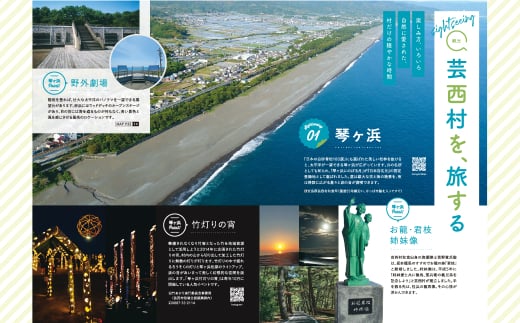 訳あり釜揚げシラス300g 高知県産 釜揚げしらす 簡易梱包 わけあり 不揃い シラス 国産 釜揚げ 新鮮 しらす丼 海鮮丼 お茶漬け 冷凍配送 塩分控えめ お取り寄せ