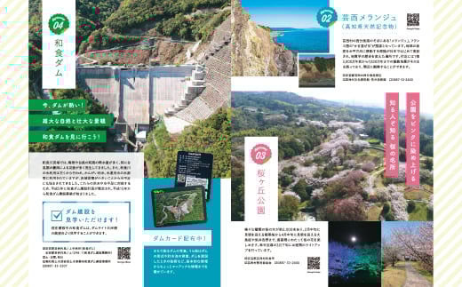 訳あり釜揚げシラス300g 高知県産 釜揚げしらす 簡易梱包 わけあり 不揃い シラス 国産 釜揚げ 新鮮 しらす丼 海鮮丼 お茶漬け 冷凍配送 塩分控えめ お取り寄せ