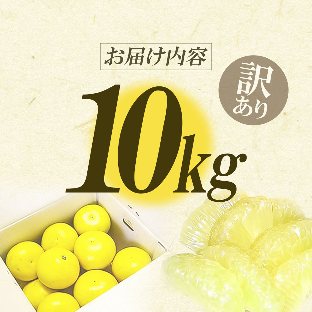 【先行予約】ワケあり土佐文旦(※シミ・キズあり) 10kg・ サイズおまかせ 産地直送 フルーツ 果物 在庫限り