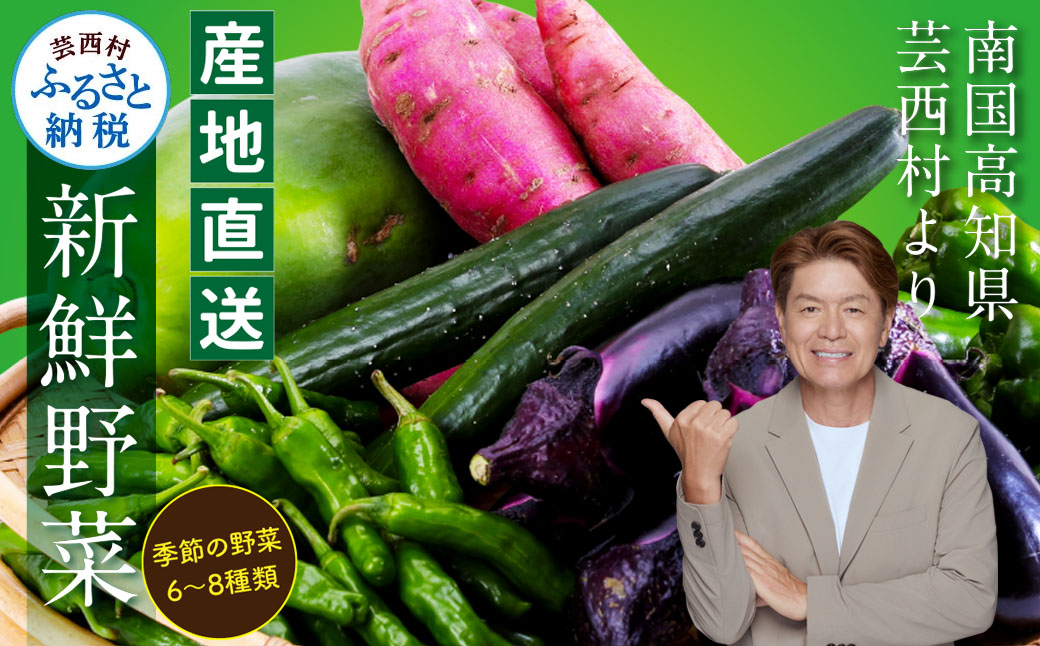 【先行予約】朝どれ！野菜の詰合せ 芸西村で採れた新鮮な野菜6〜8種類をお届けします。