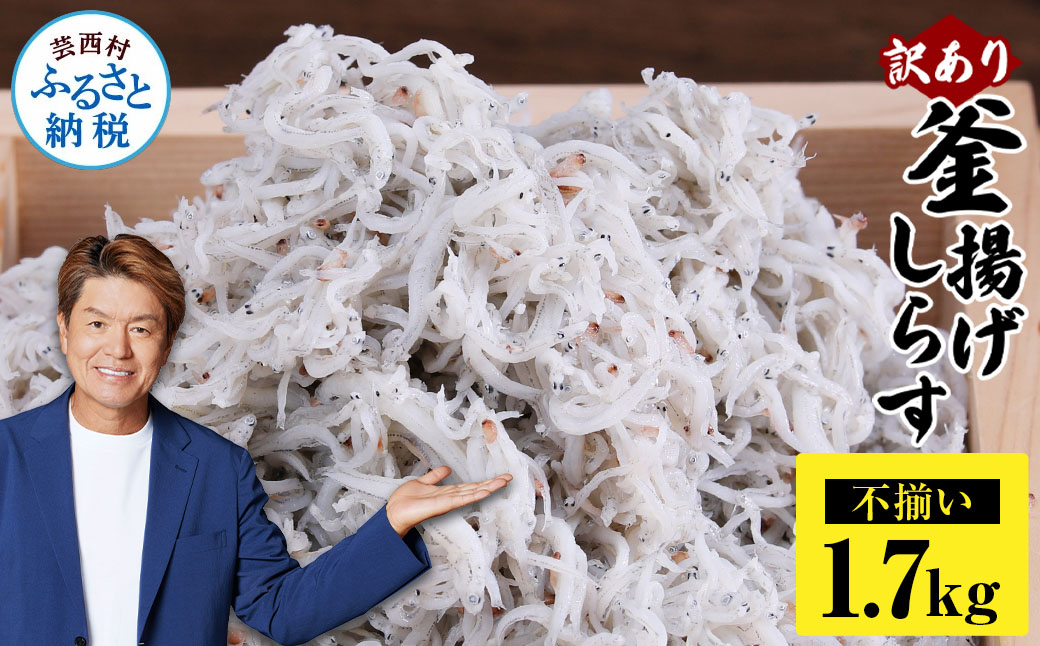 訳あり釜揚げシラス1.7kg 高知県産 釜揚げしらす 簡易梱包 わけあり 不揃い シラス 国産 釜揚げ 新鮮 しらす丼 海鮮丼 お茶漬け 冷凍配送 塩分控えめ お取り寄せ