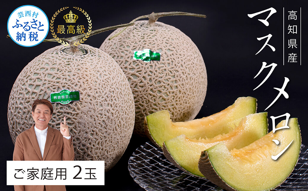 緊急支援　高知県産 高級マスクメロン（ご家庭用）2玉入〈南国市共通返礼品〉【発送期間：4月〜12月（9カ月）】【1月〜3月は気候温度不安定の為出荷不可となります。】