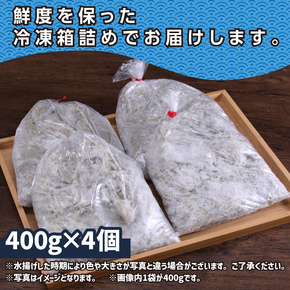 訳あり釜揚げシラス400g×4個 高知県産 釜揚げしらす 簡易梱包 わけあり 不揃い シラス 国産 釜揚げ 新鮮 しらす丼 海鮮丼 お茶漬け 冷凍配送 塩分控えめ お取り寄せ