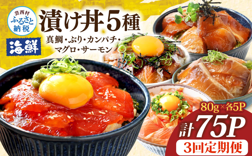 漬け丼5種セット 真鯛・ブリ・カンパチ・マグロ・サーモン 1食80g×計75P 3回定期便 タイ 鰤 鮪 海鮮丼 刺身 海鮮 魚介 魚 お茶漬け 炊き込みご飯 惣菜 おかず 冷凍 配送