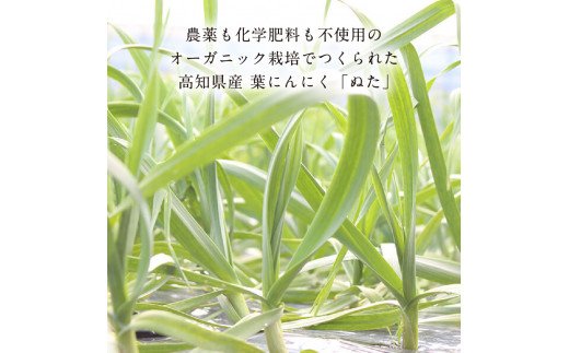 緊急支援 人気海鮮 芸西村厳選1本釣り本わら焼き「芸西村本気の極カツオのたたき（9〜11人前）有名番組で紹介の有機無添加土佐にんにくぬた・タレ付き」かつお タタキ 海鮮 藁焼き 鰹 塩 ランキング〈高知県共通返礼品〉