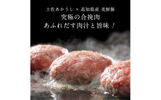 ＜高騰に伴い2025年1月1日以降、寄附額改定予定＞ 人気惣菜 数量限定 牛肉 豚肉 創業50年老舗レストランの幻の和牛あかうしハンバーグ130g×16コ＋特製デミソース×4袋、特製トマトソース×4袋 故郷納税 焼くだけ 溢れる肉汁 土佐あか牛 ハンバー