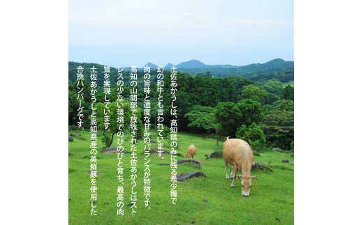 ＜高騰に伴い2025年1月1日以降、寄附額改定予定＞ 人気惣菜 数量限定 牛肉 豚肉 創業50年老舗レストランの幻の和牛あかうしハンバーグ130g×16コ＋特製デミソース×4袋、特製トマトソース×4袋 故郷納税 焼くだけ 溢れる肉汁 土佐あか牛 ハンバー