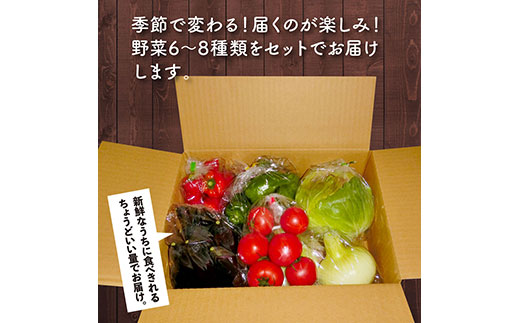 朝どれ！ 野菜詰合せ／芸西村で採れた新鮮な野菜6～8種類をお届けします。特産品 ピーマン ナス こだわりの栽培方法 環境に優しい 安全で安心な野菜づくり  支援品