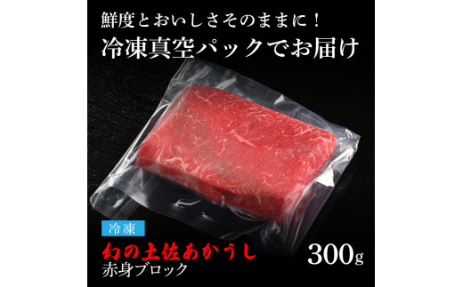 天下味 エイジング工法 熟成肉 土佐あかうし 特選赤身ブロック 300g エイジングビーフ 赤身 牛 ブロック 国産 あか牛 赤牛 肉 牛肉 和牛 人気 老舗焼肉店 冷凍 新鮮 真空パック 高級 お祝い 高知 高知県 芸西村 故郷納税 17000円 返礼品 贈り物 贈答 ギフト