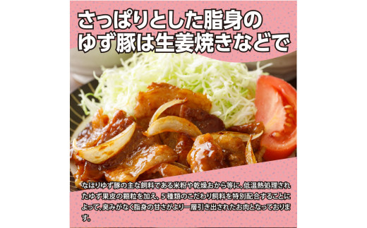 なはりゆず豚セット 3kg - 豚バラ ロース モモ 挽き肉 ひき肉 豚 豚肉 国産 詰め合わせ セット 冷凍 料理 おうちごはん 個包装 28000円 高知県産 高知