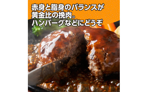 なはりゆず豚セット 3kg - 豚バラ ロース モモ 挽き肉 ひき肉 豚 豚肉 国産 詰め合わせ セット 冷凍 料理 おうちごはん 個包装 28000円 高知県産 高知