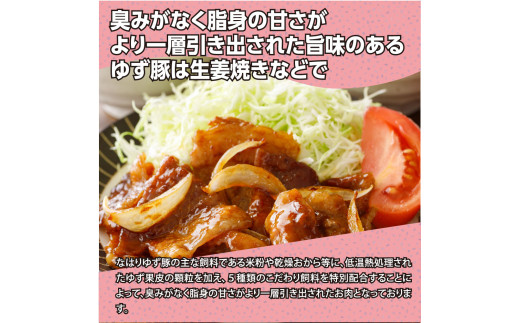 なはりゆず豚満喫セット 3.45kg - 豚バラ ロース モモ 肩ロース 挽き肉 ひき肉 豚 豚肉 国産 詰め合わせ セット 冷凍 料理 おうちごはん 個包装 34000円 高知県産 高知