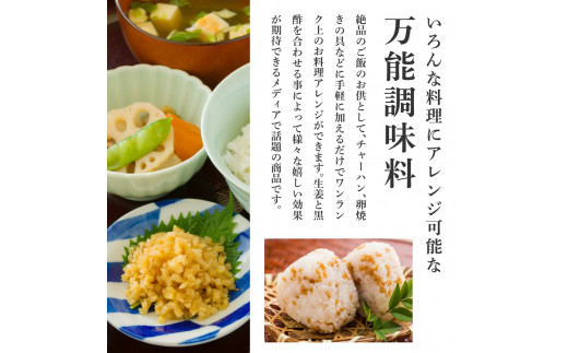 味付け極しょうが110g×10袋 - しょうが ショウガ 生姜 生ふりかけ 坂田信夫商店 黄金しょうが 高知 国産 料理 おかず 調味料 ご飯のお供 混ぜご飯 刻み生姜 話題