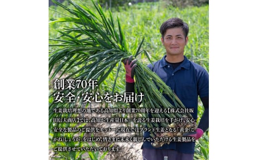 味付け極しょうが110g×10袋 - しょうが ショウガ 生姜 生ふりかけ 坂田信夫商店 黄金しょうが 高知 国産 料理 おかず 調味料 ご飯のお供 混ぜご飯 刻み生姜 話題