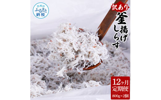 〈12ヶ月定期便〉訳あり 釜揚げシラス 800g×2個 定期便 定期コース 12ヶ月 しらす シラス 釜揚げ 新鮮 塩分控えめ 離乳食 わけあり ワケあり 不揃い しらす丼 海鮮丼 お茶漬け