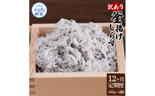 〈12ヶ月定期便〉訳あり 釜揚げシラス 180g×4個 定期便 定期コース 12ヶ月 しらす シラス 釜揚げ 新鮮 塩分控えめ 離乳食 わけあり ワケあり 不揃い しらす丼 海鮮丼 お茶漬け