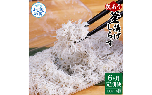 〈6ヶ月定期便〉訳あり 釜揚げシラス 100g×6個 定期便 定期コース 6ヶ月 しらす シラス 釜揚げ 新鮮 塩分控えめ 離乳食 わけあり ワケあり 不揃い しらす丼 海鮮丼 お茶漬け
