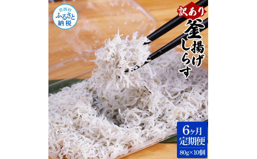 〈6ヶ月定期便〉訳あり 釜揚げシラス 80g×10個 定期便 定期コース 6ヶ月 しらす シラス 釜揚げ 新鮮 塩分控えめ 離乳食 わけあり ワケあり 不揃い しらす丼 海鮮丼 お茶漬け