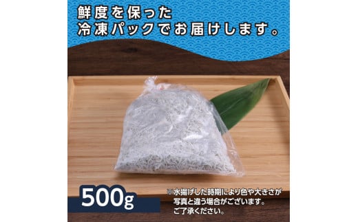 上物釜揚げシラス500g 高知県産 釜揚げしらす 簡易梱包 シラス 国産 釜揚げ 新鮮 しらす丼 海鮮丼 お茶漬け 冷凍配送 塩分控えめ お取り寄せ