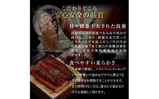 高知ブランド鰻「西岡うなぎ」《超特上》うなぎの蒲焼き8尾セット (約1760g) オリジナルタレ 山椒付き 国産 ウナギ 鰻 真空パック 冷凍配送 高知県産 うな重 丼 熨斗対応 ギフト 贈答