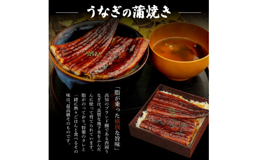 高知ブランド鰻「西岡うなぎ」《超特上》うなぎの蒲焼き・白焼き2尾セット（約440g） オリジナルタレ・山椒付き 国産 ウナギ 鰻 冷凍配送 高知県産 うな重 丼 特大 自宅用 家庭用