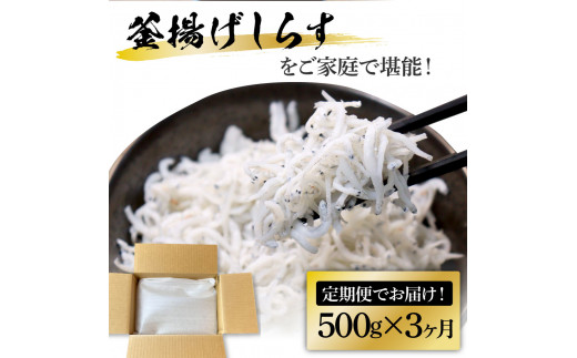 ã3ã¶æå®æäŸ¿ãé«ç¥çç£éæãããã500g å®æäŸ¿ 宿ã³ãŒã¹ 3å ç°¡ææ¢±å
ã·ã©ã¹ å°åã åœç£ éæã ããã䞌 海鮮䞌 ãè¶æŒ¬ã ãã¯ã è»èŠå·»ã å·åé
é ããã ãã€ãŸã¿ ãæ¥œãã¿