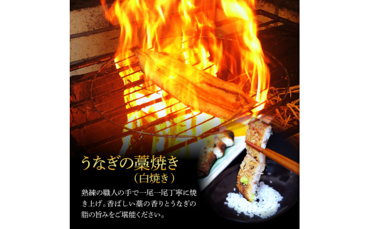 ããªãè²çŒã 1å°Ÿ + èçŒã(çœçŒã)1å°Ÿ 2å°Ÿã»ãã 1å°ŸçŽ140g ã¿ã¬ä»ã ããªã é°» ãŠãã® è²çŒã ãã°çŒã ããçŒã 倩æ¥å¡©ä»ã ãã³é
¢ä»ã 逿® åœç£ ãåãå¯ã å·å é
é