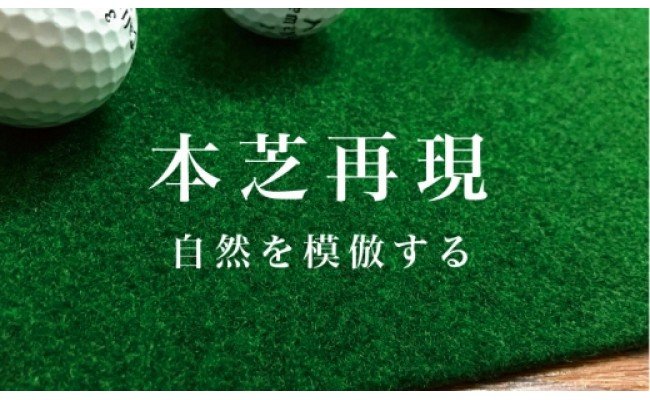 ãŽã«ãç·Žç¿ãã¿ãŒããã é«é45cmÃ3m TOURNAMENT-SBïŒããŒãã¡ã³ãSBïŒãšç·Žç¿çšå
·ïŒè·é¢æãã¹ã¿ãŒã«ããããŸã£ããã±ã£ãšããã¬ãŒãã³ã°ãªã³ã°ä»ãïŒ