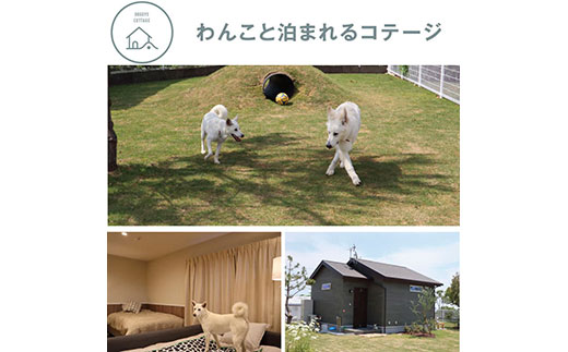 ONIWAご利用券3,000円×3枚 ＜ゆったり空間で贅沢キャンプ わんこと泊まれるコテージ＞