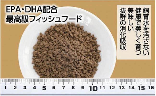 GROW E ã¯ã©ã³ãã« 160g äžåç±åž¯éçš ïŒæé«çŽ ãã£ãã·ã¥ããŒã EPAã»DHAé
å æ²éæ§ ã¯ã©ã³ãã«ã¿ã€ã é é€ïŒ ãã¬ã³ äžåéãé€ ãã ãšãµãã芳è³é é€ããããæ°Žæ§œ/ç±åž¯é/芳è³é/飌è²ããçäœããã¢ã¯ã¢ãªãŠã /ããããããã
