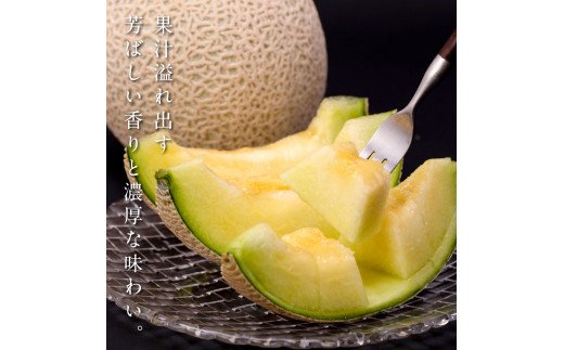 緊急支援　高知県産 高級マスクメロン（ご贈答・ギフト用）1玉入〈南国市共通返礼品〉【発送期間：4月〜12月（9カ月）】【1月〜3月は気候温度不安定の為出荷不可となります。】