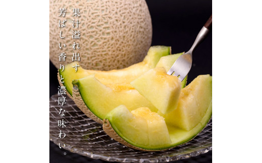 緊急支援　高知県産 高級マスクメロン（ご家庭用）2玉入〈南国市共通返礼品〉【発送期間：4月〜12月（9カ月）】【1月〜3月は気候温度不安定の為出荷不可となります。】
