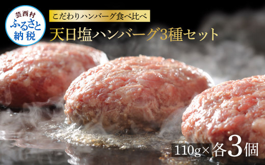 ＜高騰に伴い2025年1月1日以降、寄附額改定予定＞食べ比べ！天日塩ハンバーグ3種セット各3個(110g×3種) 合計9個 ハンバーグ 黒毛和牛 美鮮豚 天然塩 天日塩 デミグラスソース 和風ソース ソース付き 牛肉 豚肉 温めるだけ 冷凍 配送 国産 