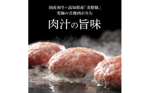 ＜高騰に伴い2025年1月1日以降、寄附額改定予定＞食べ比べ！老舗レストランの国産牛・美鮮豚ハンバーグ130g×12ケ＋ソース3種各2袋 ハンバーグ セット 25000円 トマトソース デミグラス 牛肉 豚肉 和牛 美味しい おいしい 小分けパック 個包