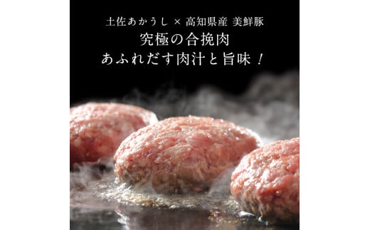 ＜高騰に伴い2025年1月1日以降、寄附額改定予定＞ 3ヶ月定期便 創業50年老舗レストランの幻の和牛あかうしハンバーグ130g×20ケ 土佐あかうし 美鮮豚 牛肉 高級 ハンバーグ 冷凍 美味しい 肉汁ハンバーグ 焼くだけ 小分け 個包装 高級 国産 