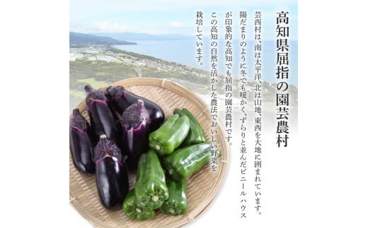 どっさり！新鮮野菜の詰合せ 7～10種類 ピーマン 茄子 なす ナス おまかせ 特産品 野菜 やさい 野菜セット おかず 健康 新鮮 詰め合わせ お楽しみ お取り寄せ 通販