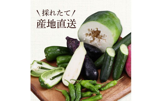 どっさり！新鮮野菜の詰合せ 7～10種類 ピーマン 茄子 なす ナス おまかせ 特産品 野菜 やさい 野菜セット おかず 健康 新鮮 詰め合わせ お楽しみ お取り寄せ 通販