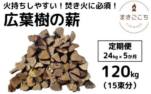 薪 24kg 24キロ 5ヶ月定期便 約30cm まき 広葉樹 乾燥 キャンプ アウトドア 料理 バーベキュー BBQ オーブン ストーブ 暖炉 焚火 たき火 焚き火台 熾火 燃料 ピザ窯 石窯【大月町共通返礼品】