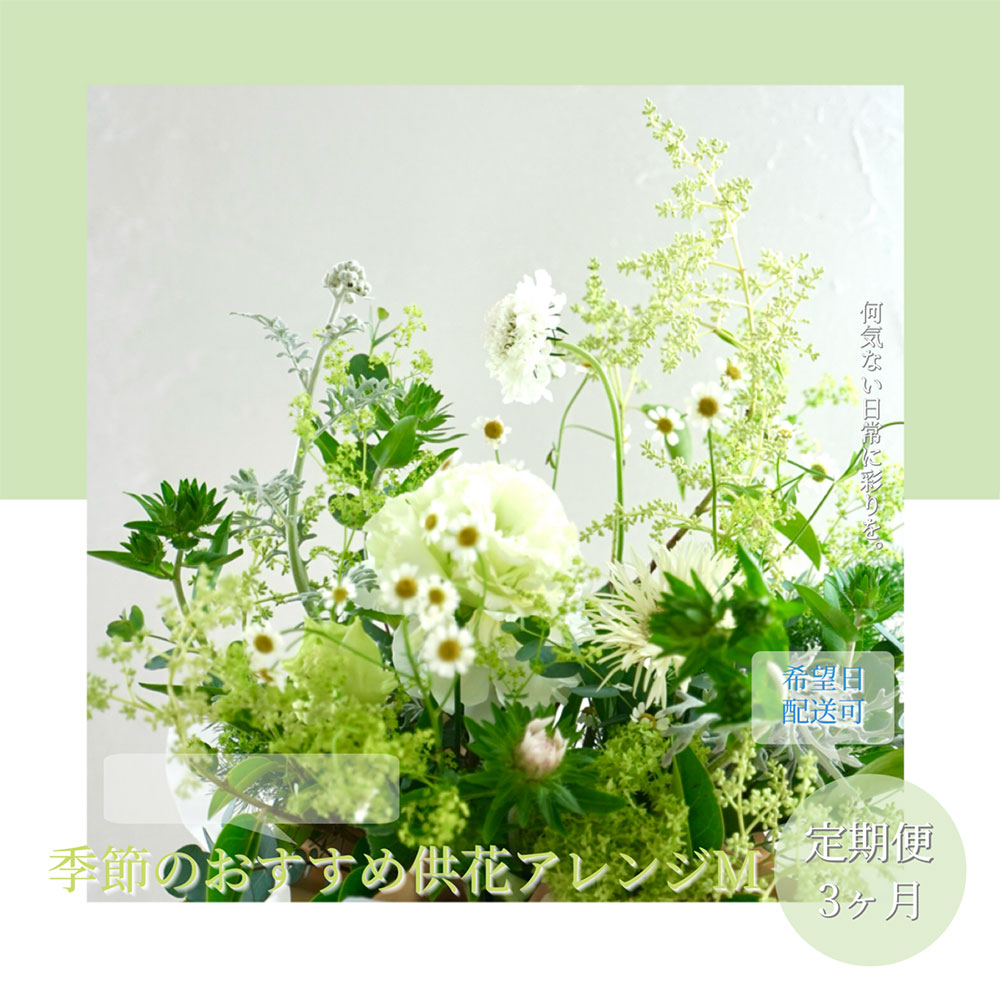 《3ヵ月定期便》生花アレンジ お供え 供花M 定期便 定期コース 全3回 フラワーアレンジメント そのまま飾れる お供え 花束 生花 仏花 供花 花束 はな 花 法要 お盆 お花 おすすめ