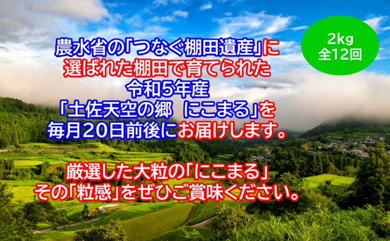 ★令和5年産★2010年・2016年 お米日本一コンテスト inしずおか 特別最高金賞受賞 土佐天空の郷　にこまる 2kg　毎月お届け全12回