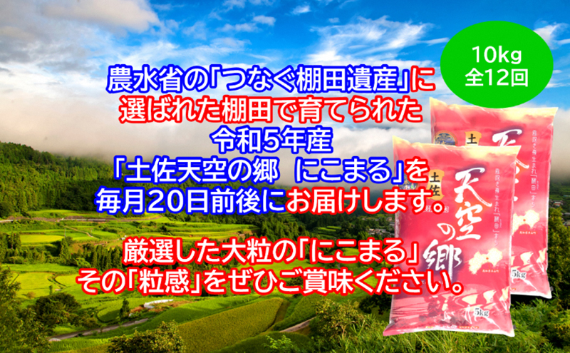 ★令和5年産★2010年・2016年 お米日本一コンテスト inしずおか 特別最高金賞受賞 土佐天空の郷　にこまる　10kg定期便　毎月お届け全12回