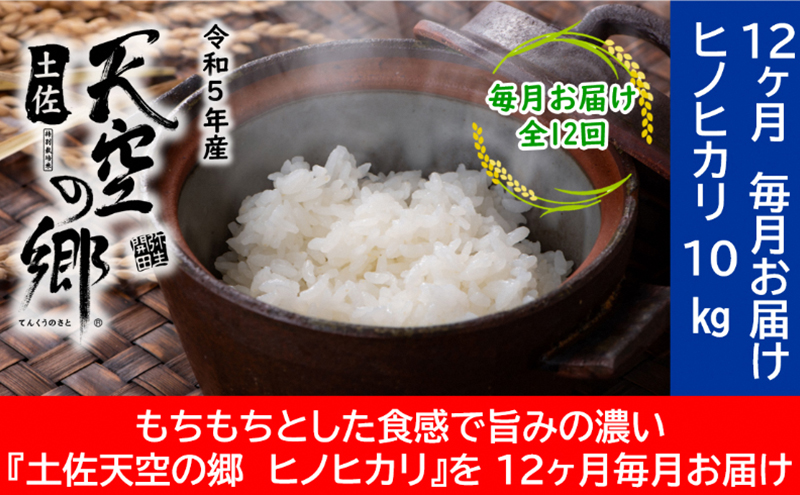 ★令和5年産★農林水産省の「つなぐ棚田遺産」に選ばれた棚田で育てられた 土佐天空の郷 ヒノヒカリ10kg 定期便 　毎月お届け　全12回