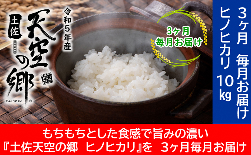 ★令和5年産★農林水産省の「つなぐ棚田遺産」に選ばれた棚田で育てられた 棚田米土佐天空の郷 ヒノヒカリ 10kg定期便　毎月お届け全3回