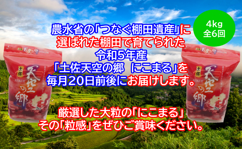 ★令和5年産★2010年・2016年 お米日本一コンテスト inしずおか 特別最高金賞受賞土佐天空の郷　にこまる 4kg　毎月お届け全6回