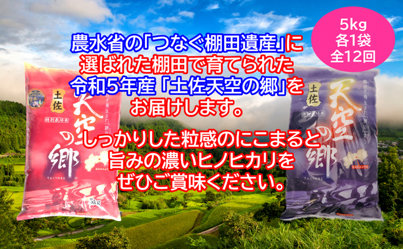 ★令和5年産★農林水産省の「つなぐ棚田遺産」に選ばれた棚田で育てられた 棚田米 土佐天空の郷 5kg食べくらべセット定期便 毎月お届け 全12回