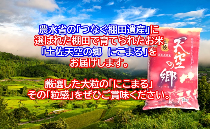 2010年・2016年 お米日本一コンテスト inしずおか 特別最高金賞受賞 土佐天空の郷 にこまる 5kg